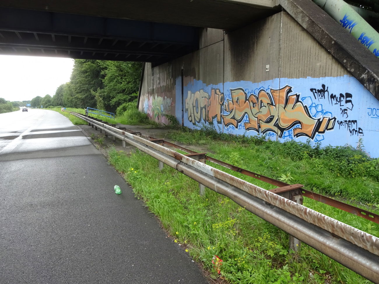 Graffiti Bombing - Photo by rookone