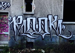 Photo #174610 by Belt