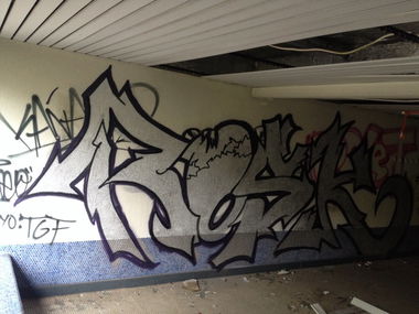 Graffiti Bombing - Photo by roskone - Rosk, QTMcrew, Wiesbaden (2014)
