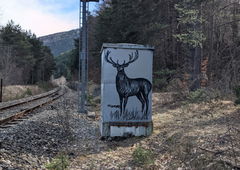 Graffiti Street Art in France - Photo by rotor - deer, rotor (2025)