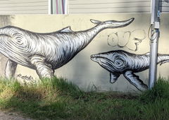 Graffiti Street Art in France - Photo by rotor - whale, black, white
