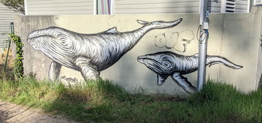 Graffiti Street Art in France - Photo by rotor - whale, black, white