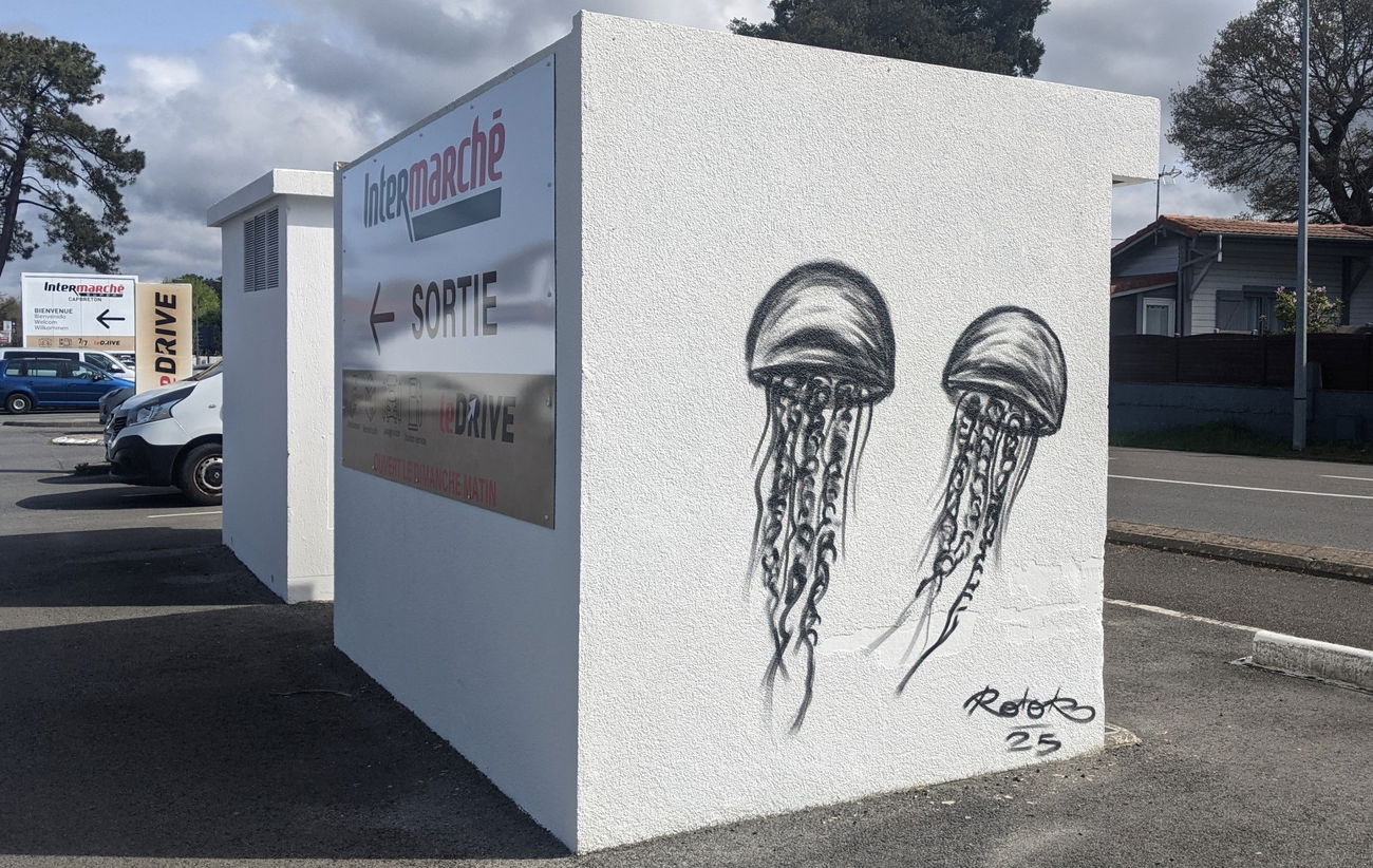 Graffiti Wall in France - Photo by rotor - rotor, jellyfish (2025)
