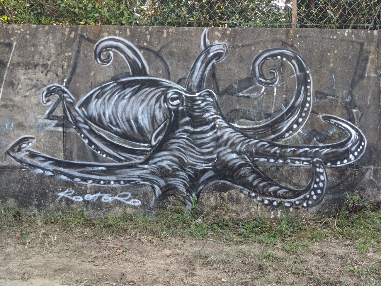 Graffiti Street Art in France - Photo by rotor - octopus, rotor, graffiti (2024)