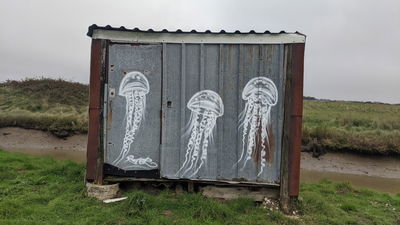 Graffiti of the Week 6/2025