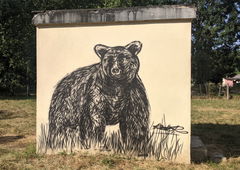 Graffiti Street Art in France - Photo by rotor - bear (2025)