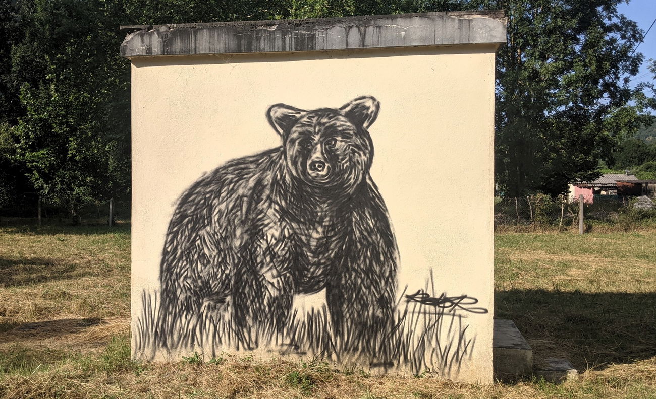 Graffiti Street Art in France - Photo by rotor - bear (2025)