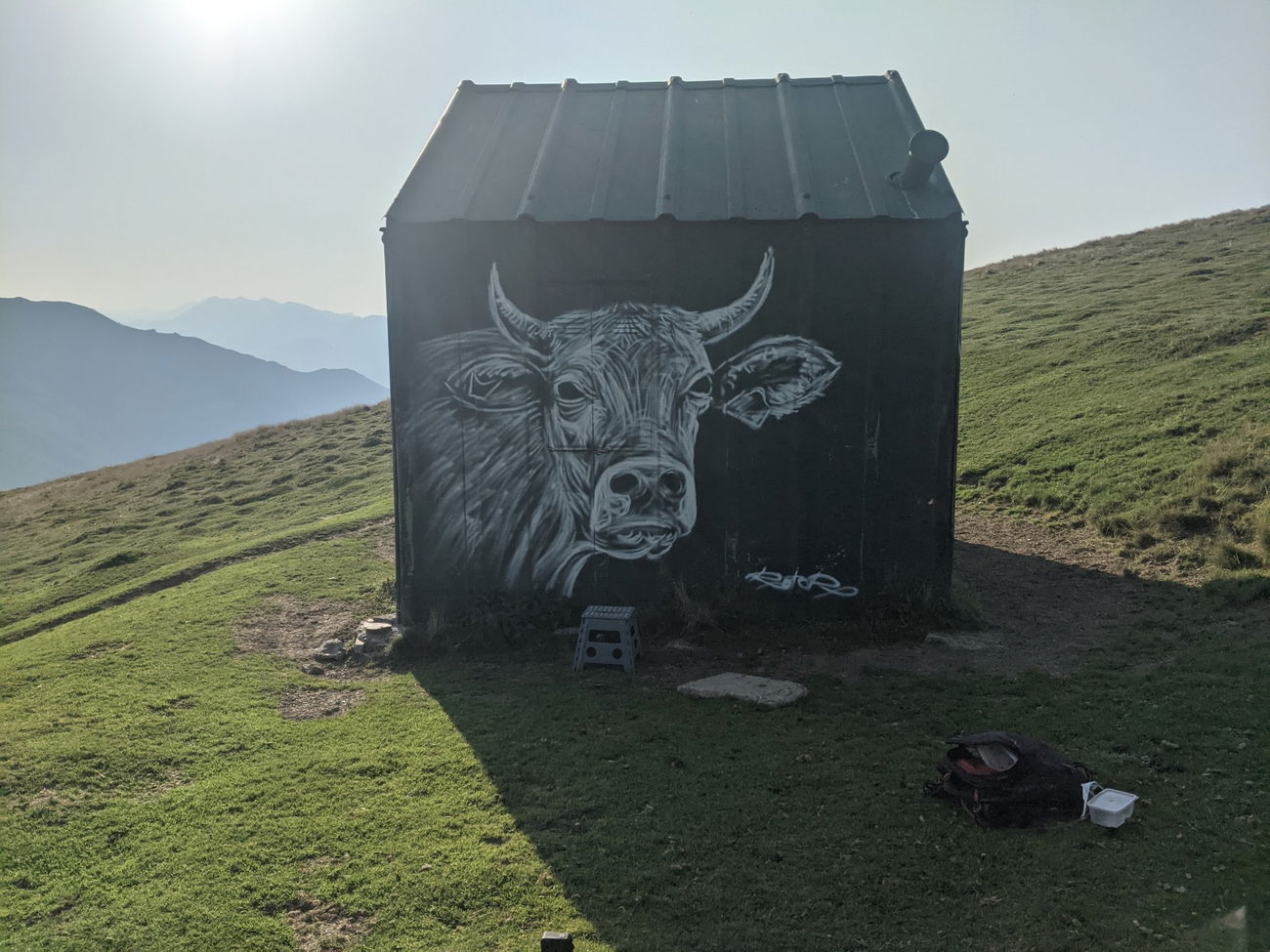 Graffiti Street Art in France - Photo by rotor - cow (2025)