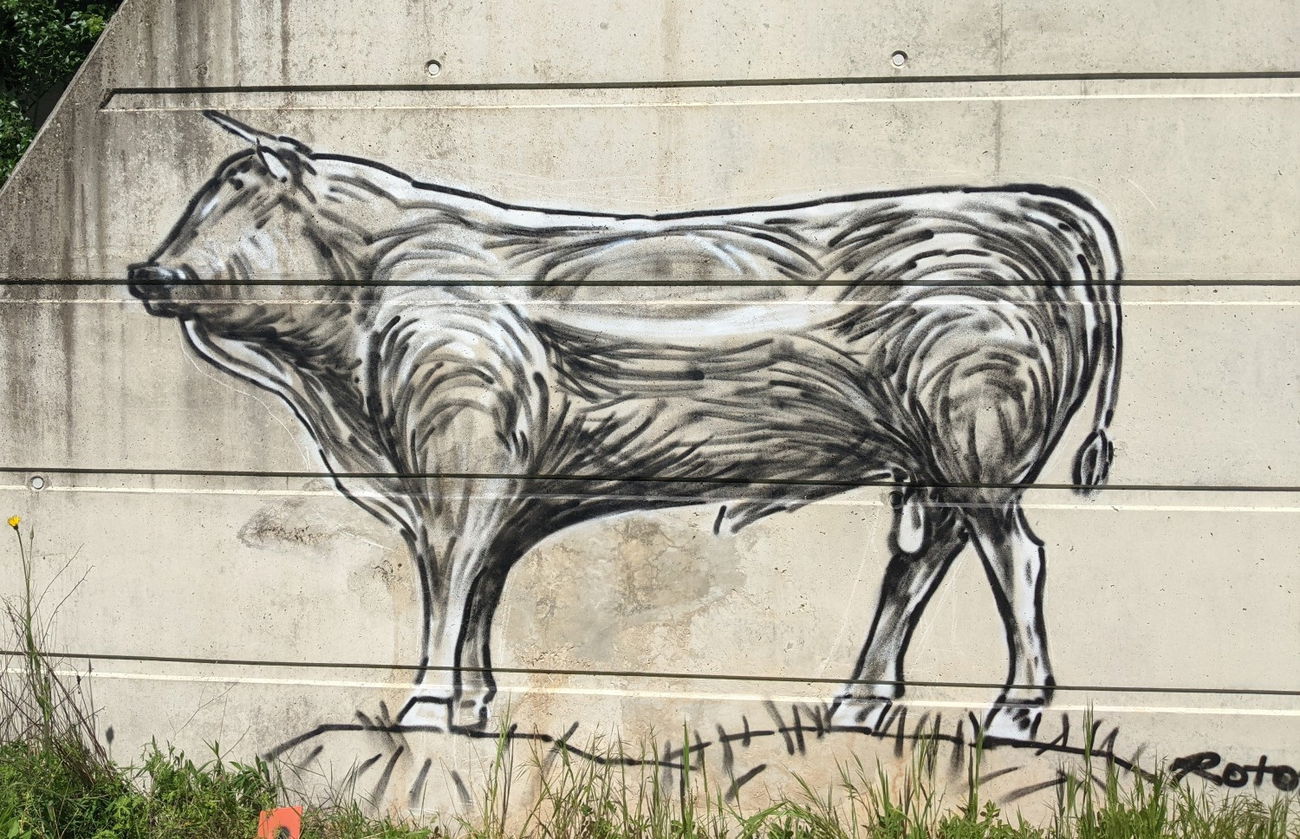 Graffiti Street Art in France - Photo by rotor - bull, aubrac (2024)