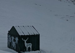 Photo #252304 by iobe1