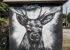 Graffiti Wall in Agos-vidalos - Photo by rotor (2026)