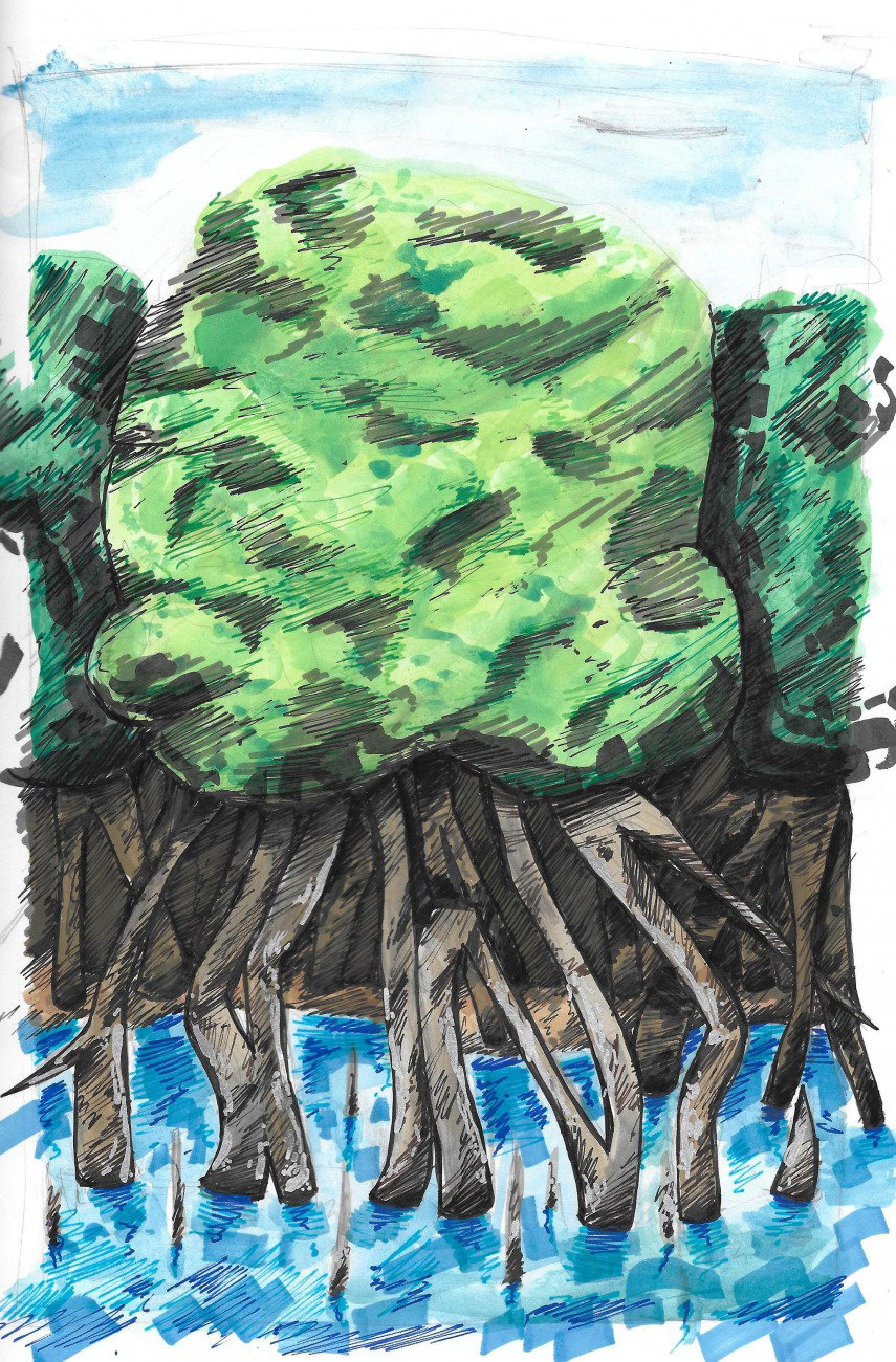 Graffiti Sketch - Photo by royalbone - royalbone, royal, bone (2015)