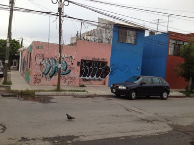 Graffiti Bombing in San Luis Potosi - Photo by rtck266