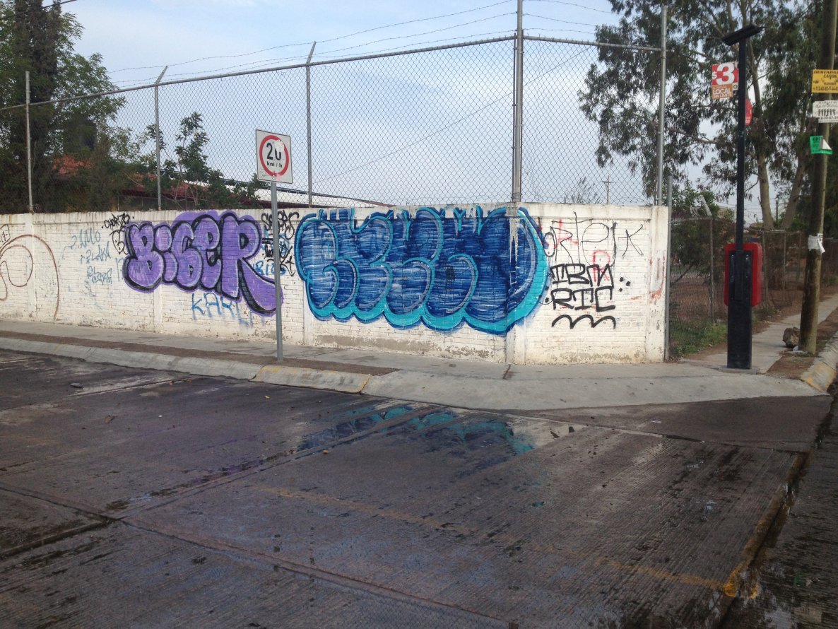 Graffiti Bombing - Photo by rtck266