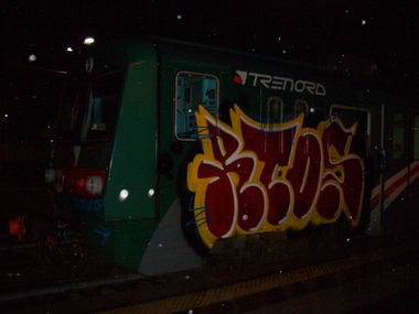 Graffiti Train - Photo by rtoszwo