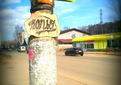 Photo #85044 by Congo