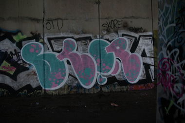 Graffiti Bombing - Photo by russianking (2013)
