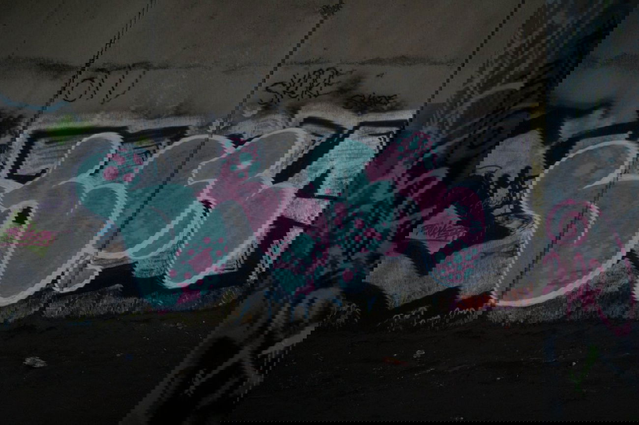 Graffiti Bombing - Photo by russianking (2013)