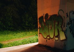 Photo #40378 by Fusseloner