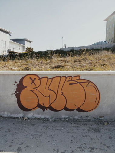 Graffiti Bombing - Photo by ruves