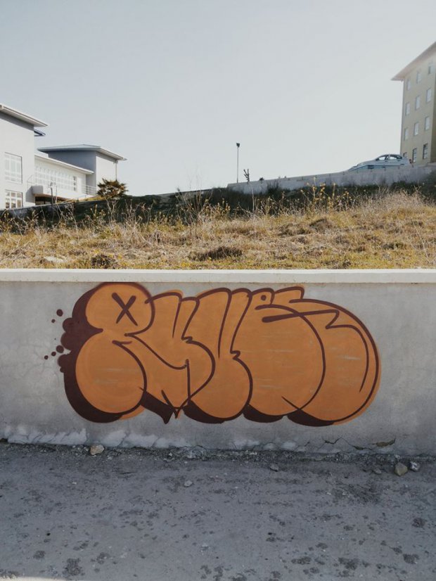 Graffiti Bombing - Photo by ruves