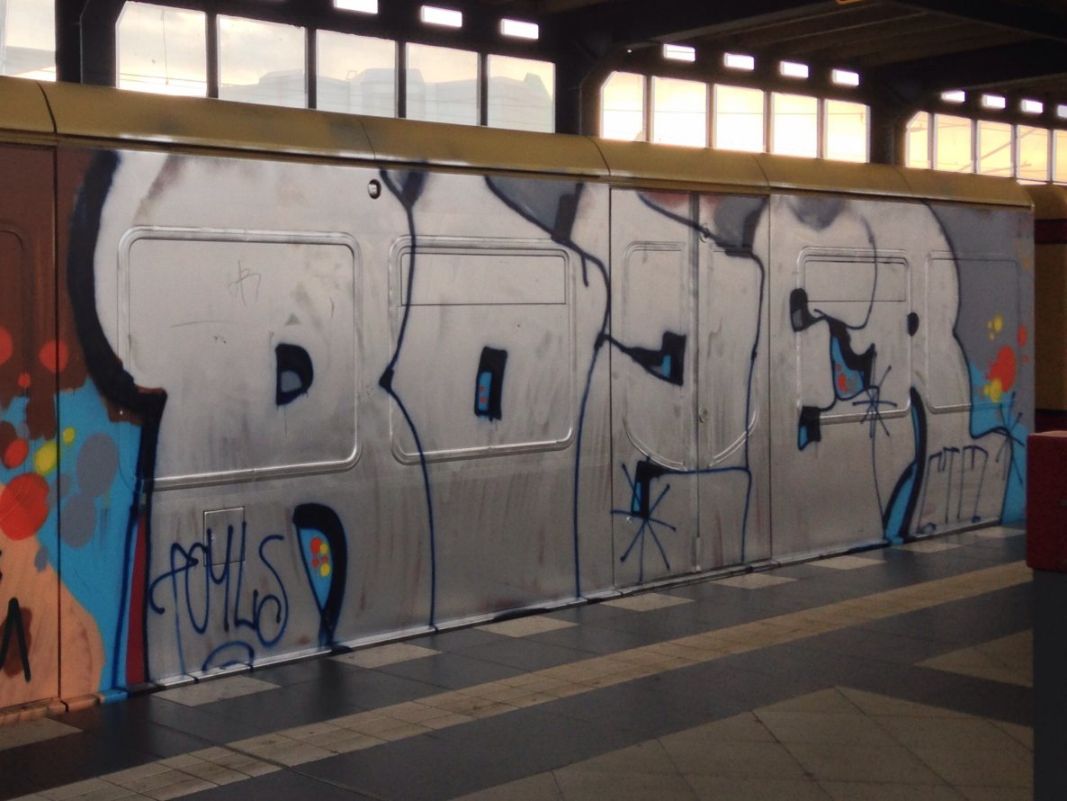 Graffiti Train - Photo by ruz - Rozer (2013)
