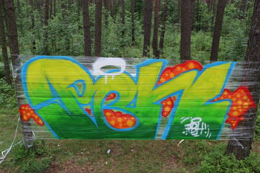 Graffiti Wall - Photo by rwnXstain - forest, RWN, ??? (2013)