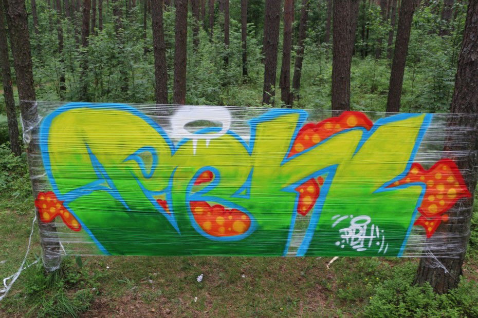 Graffiti Wall - Photo by rwnXstain - forest, RWN, ??? (2013)