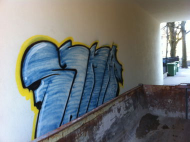 Graffiti Bombing - Photo by s6na