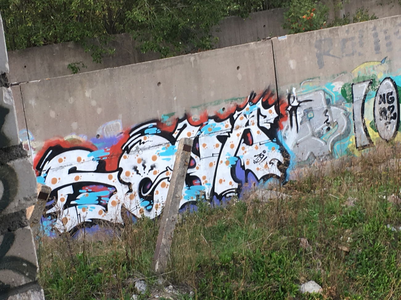 Graffiti in Siguldas pagasts - Photo by s6na (2019)