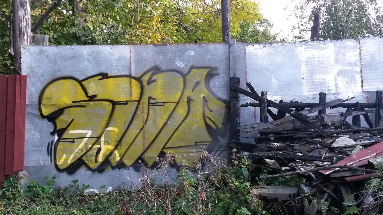 Graffiti Bombing - Photo by s6na