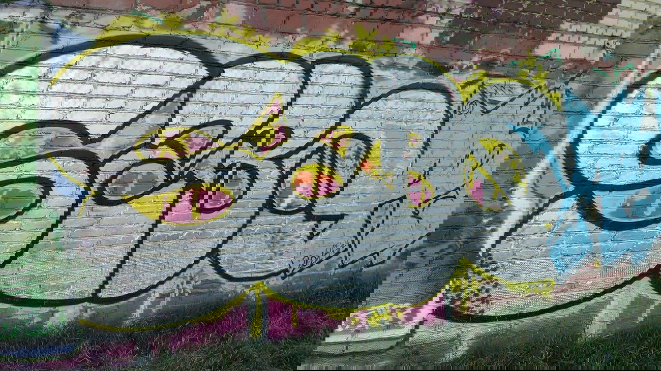 Graffiti Wall - Photo by sabeK