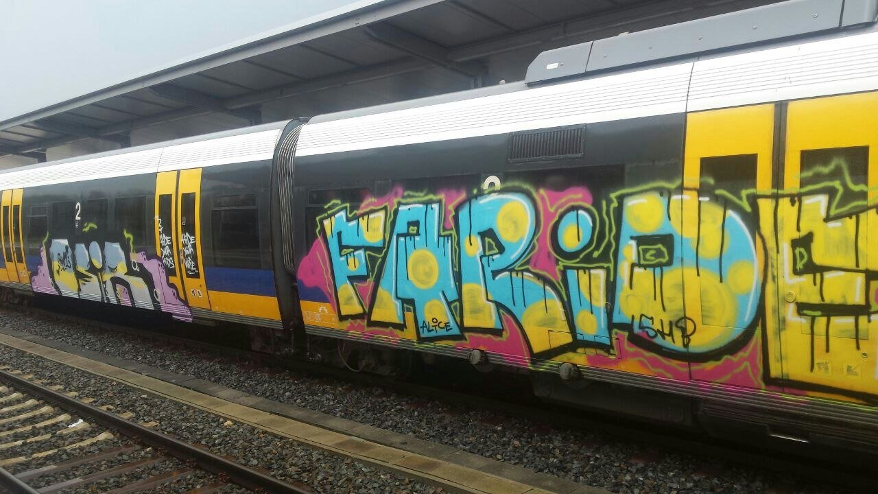 Graffiti Train - Photo by sadik