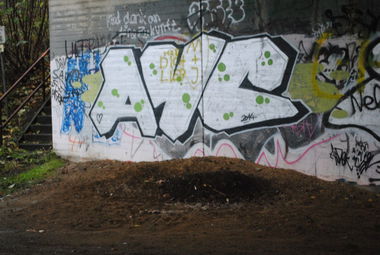 Graffiti Bombing - Photo by sadik