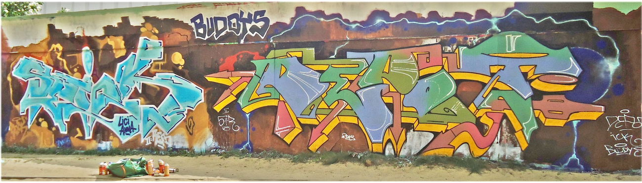 Graffiti Wall - Photo by saik86 - buddys