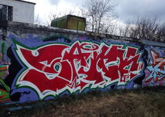 Photo #122977 by tgngrown