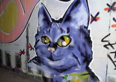 Photo #18415 by peep