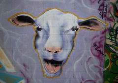 Photo #18416 by peep