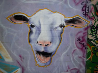 Graffiti Wall - Photo by samus85