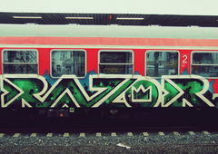 Photo #16236 by Belt