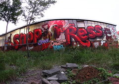 Graffiti Train in Hamburg - Photo by sancho - shop, fört, ress