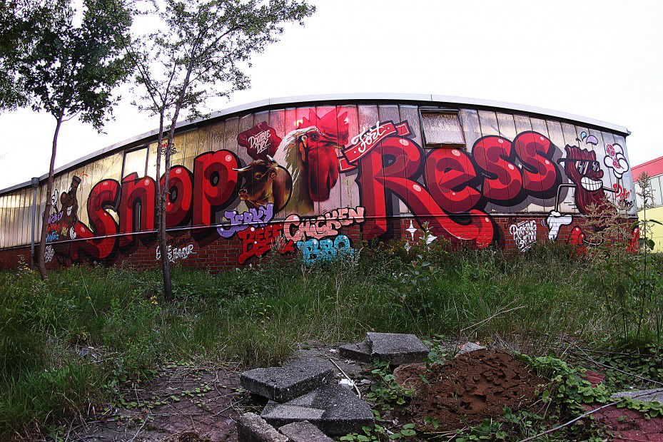 Graffiti Train in Hamburg - Photo by sancho - shop, fört, ress