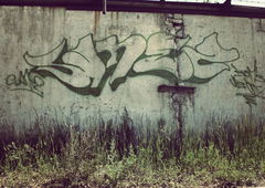 Graffiti Bombing - Photo by sane2 - sane2, sanetwo, tnmc