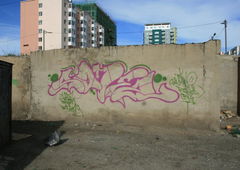 Graffiti Bombing - Photo by sane2 - sane2, sanetwo, tnmc