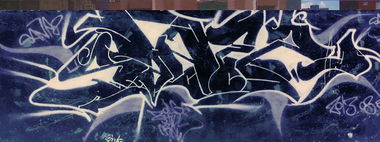Graffiti Bombing - Photo by sane2 - sane2, sanetwo, tnmc