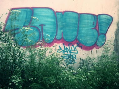 Graffiti Bombing - Photo by sane2 - sane2, sanetwo, tnmc