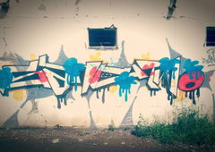 Photo #195660 by SHANE