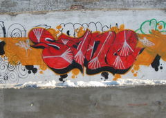 Graffiti Bombing - Photo by sane2 - sane2, sanetwo, tnmc