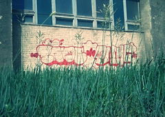 Graffiti Bombing - Photo by sane2 - sane2, sanetwo, tnmc