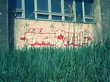 Graffiti Bombing - Photo by sane2 - sane2, sanetwo, tnmc